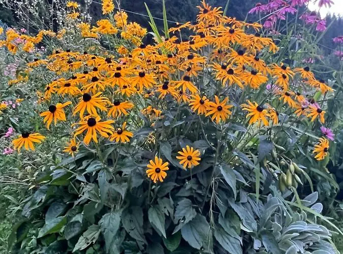 Palazzo Cervesato: Regina Margherita Pensjonat